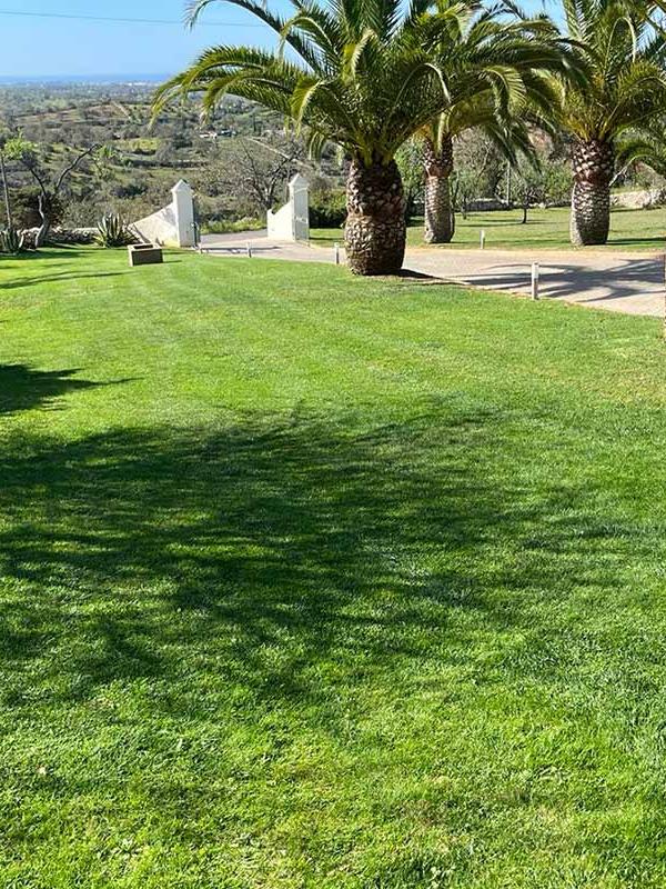 Manutenção de jardins