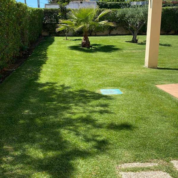 Manutenção de jardins