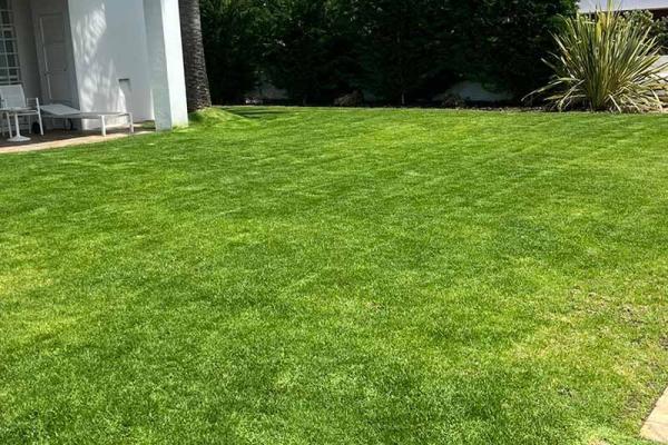 Manutenção de jardins